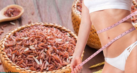 Gạo Lứt Thái Dương