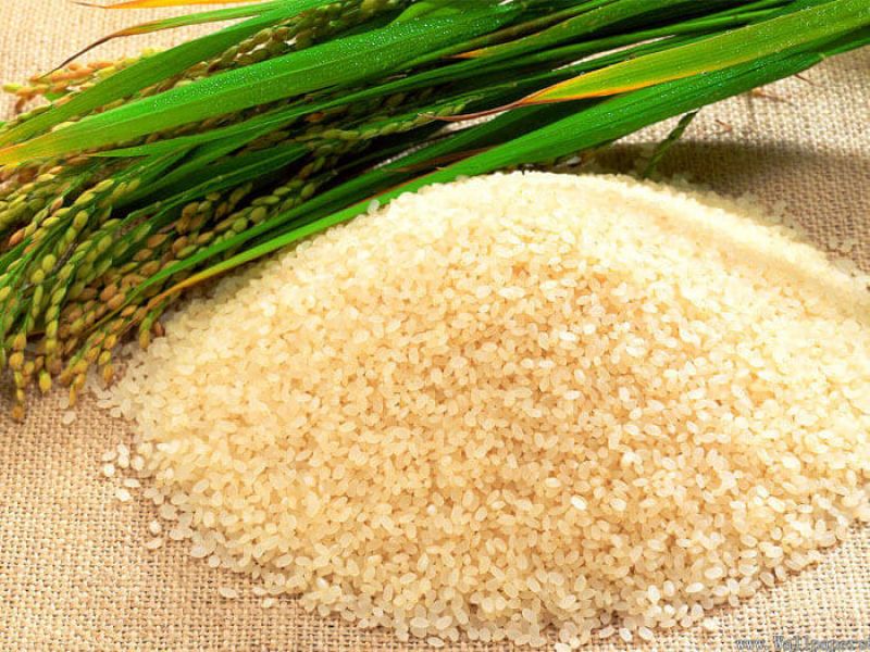 Gạo ngon giá rẻ